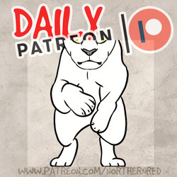DAILY PATREON