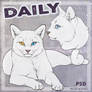 DAILY - cat