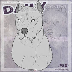 DAILY - dog