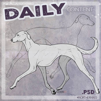 DAILY - dog