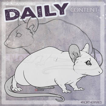 DAILY - mouse