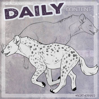 DAILY - hyena