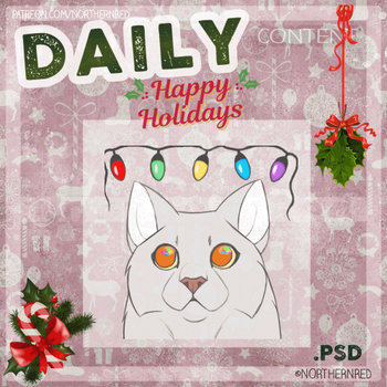 DAILY - Xmas lights (cat)