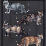 PAMPAS CAT DESIGNS |CLOSED