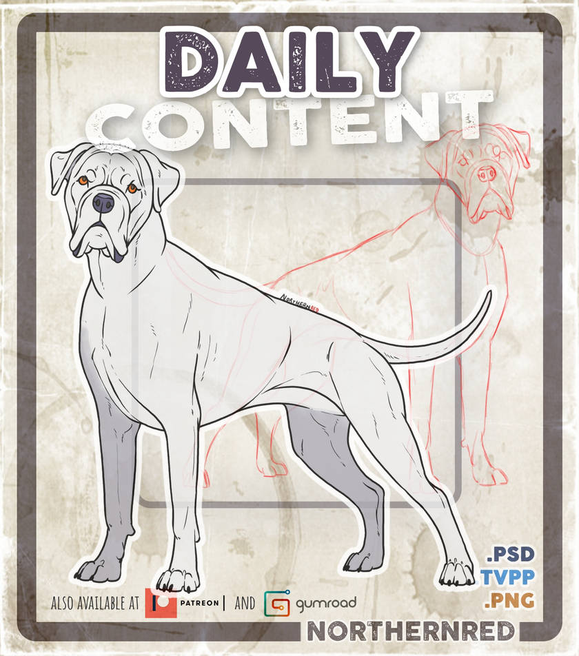 Deviantart Boxer Dog Boxer dog pose by NorthernRed on DeviantArt