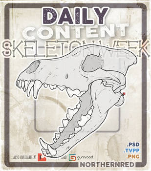 Skeleton week - wolf skull
