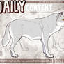 DAILY WEEK - Wolf