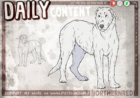 DAILY - Irish wolfhound