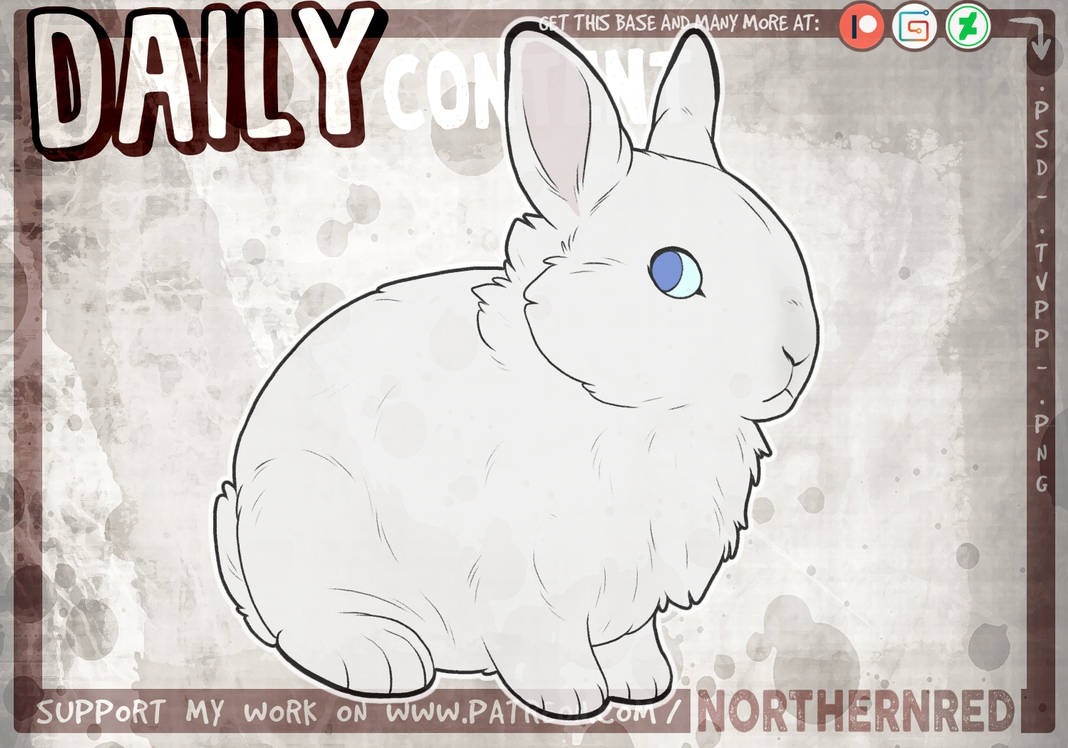 DAILY - Rabbit by NorthernRed on DeviantArt