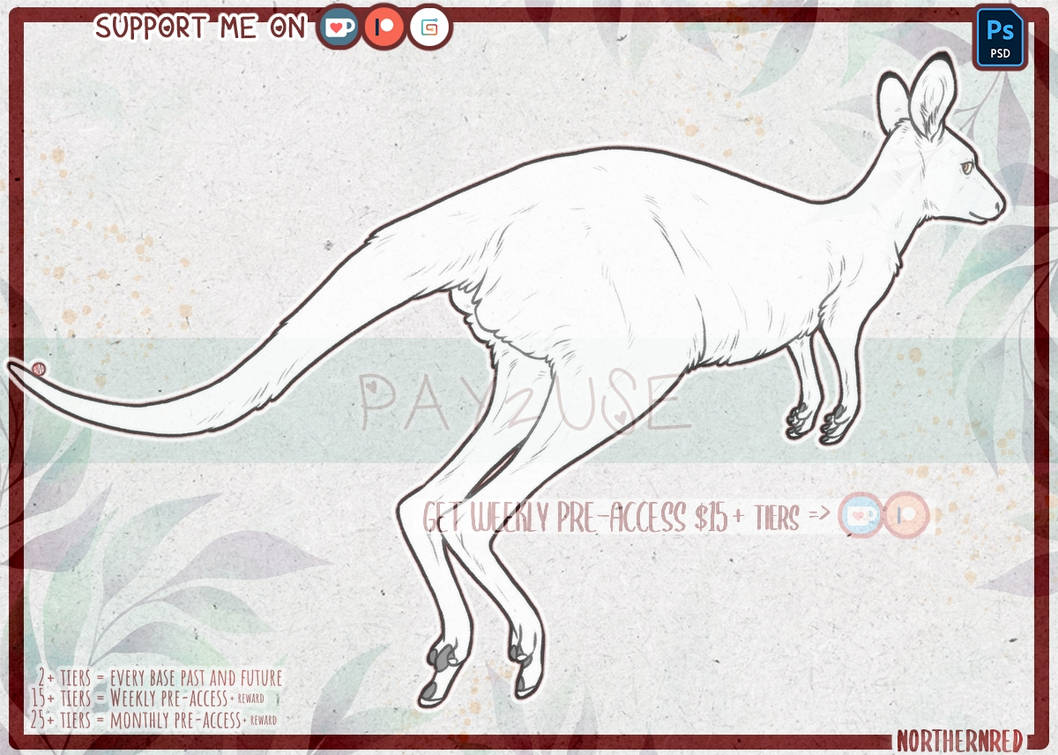 DAILY - Kangaroo by NorthernRed on DeviantArt