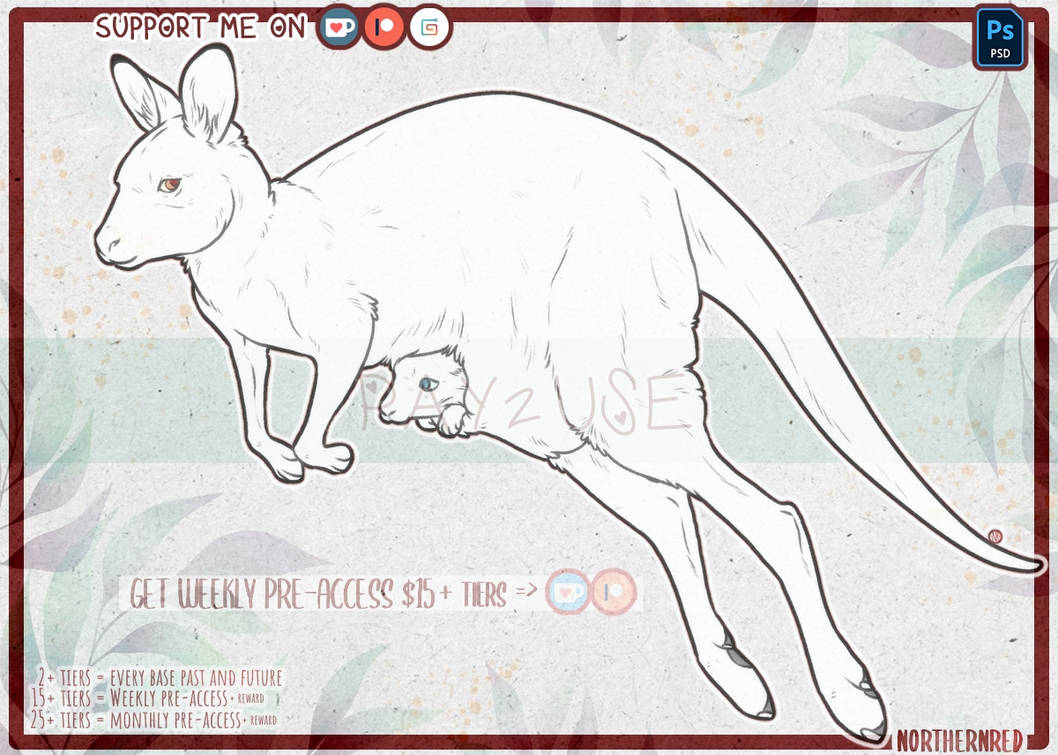 DAILY - Kangaroo by NorthernRed on DeviantArt