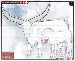 DAILY - Cow + calf