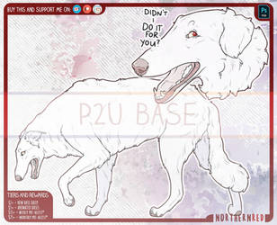 DAILY - Borzoi