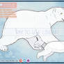 DECEMBER DAILY - Polar Bear + cub