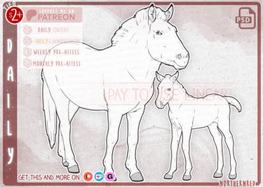 DAILY - Przewalski's horse + foal