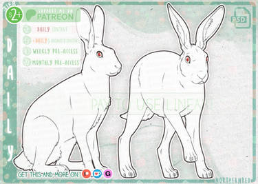 EASTER DAILY - Hares