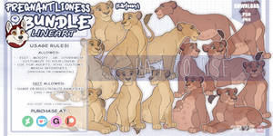 BUNDLE:Pregnant lionesses + help lines! (cartoony)