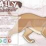 BONUS DAILY: Lioness + help lines (semi)