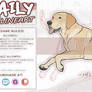 DAILY: Labrador Retriever Dog+ help lines (semi)