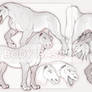 SPECIES CONCEPT AUCTION | CLOSED