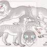 SPECIES CONCEPT AUCTION | CLOSED