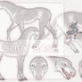 SPECIES CONCEPT AUCTION | CLOSED
