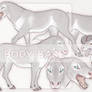 SPECIES CONCEPT AUCTION | CLOSED
