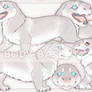 SPECIES CONCEPT AUCTION | CLOSED