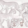 SPECIES CONCEPT AUCTION | CLOSED