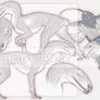 SPECIES CONCEPT AUCTION | OPEN