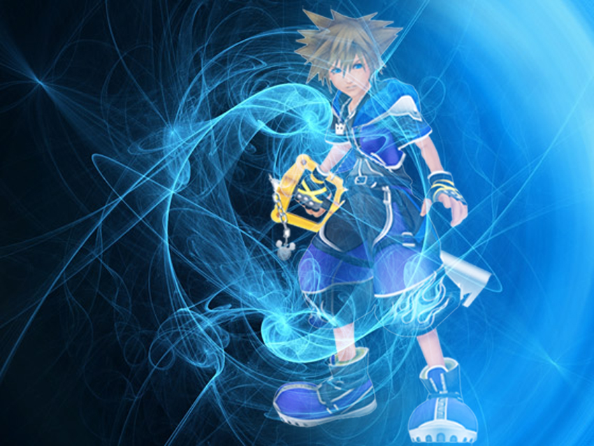 Sora's Wisdom Form