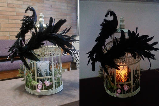 Peacock Lantern