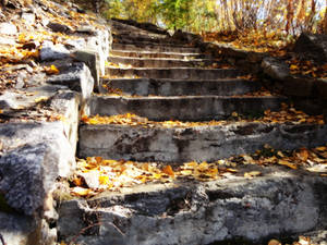 Stairs in autumn1