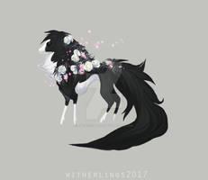 204