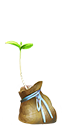 Seedling by Esk-Masterlist