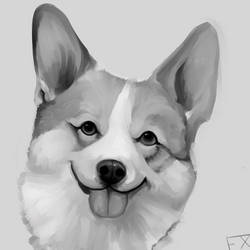 Corgi 2