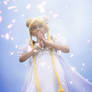 Sailor Moon : Princess Serenity ~ hope