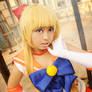 Sailor Venus : Guardian of Love