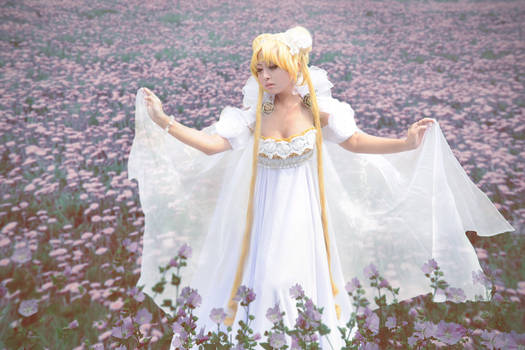 Princess Serenity