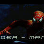 Spider- Man Banner