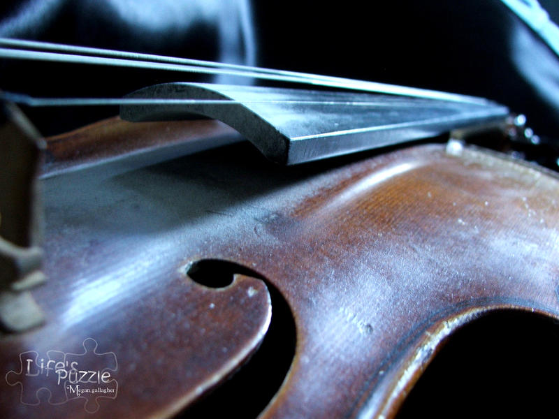 Fiddle Me This...8 by Museick-Photography on DeviantArt