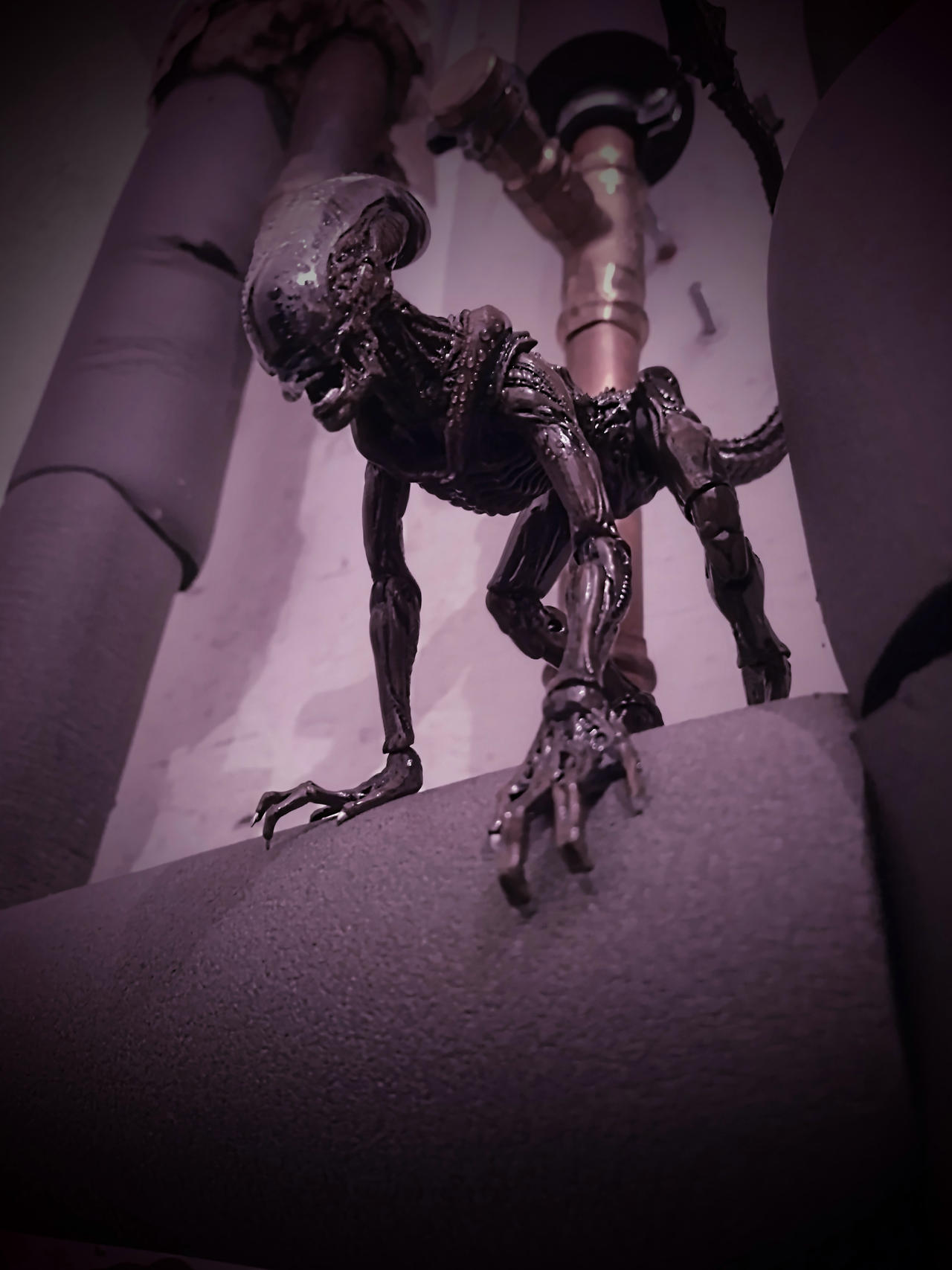 Dog Alean Dog Alien by LeonidasLykos11 on DeviantArt