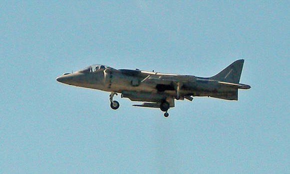 Harrier Hovering