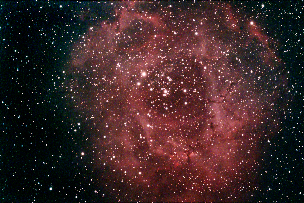 Rosette Nebula 09