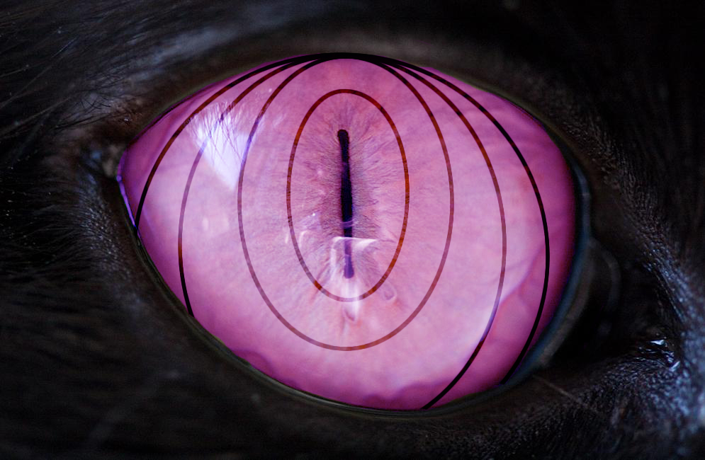 rinnegan cat eye test 3