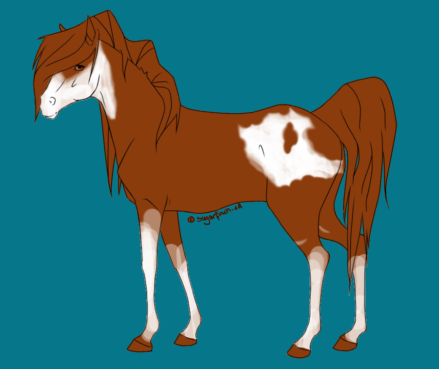 Chestnut Horse with white marks |For Sale|
