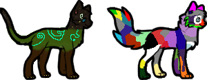 Forest Cat and Rainbow Pattern Cats :D