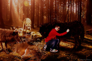 Derek and Stiles of wolves Alf by byAlizeya