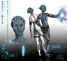 Asari- Reij Design Sheet