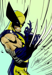 Wolverine J. Scott Campbell Color By Me